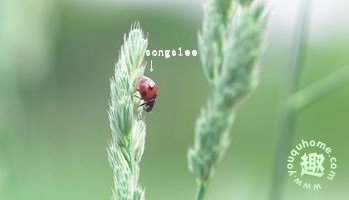 输入名字查看未来的你-未来写真馆