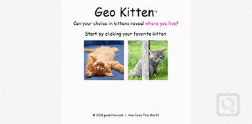 呆萌喵星人猜你住哪-Geo Kitten